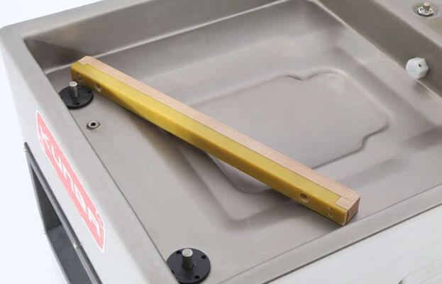 Internal View of the Cavity