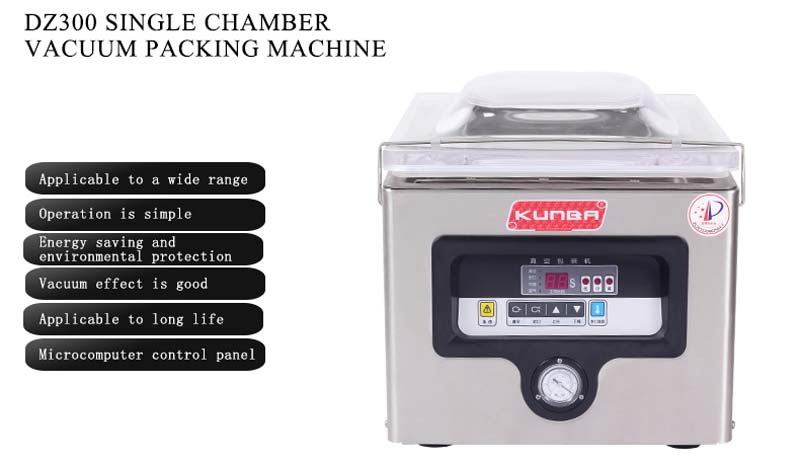 Chamber Vacuum Packaging Machine DZ-300