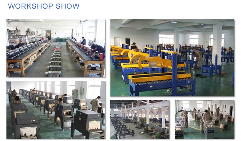 horizontal bag sealing machine Frm 980 - Huaqiao Packing Machine